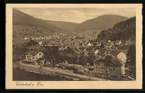 AK Calmbach a. Enz, Ortsansicht mit Wald