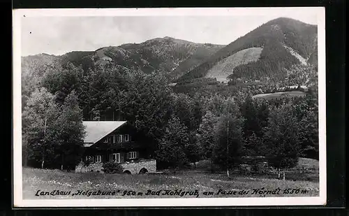 AK Bad Kohlgrub, Landhaus Helgabune am Fusse des Hörndl