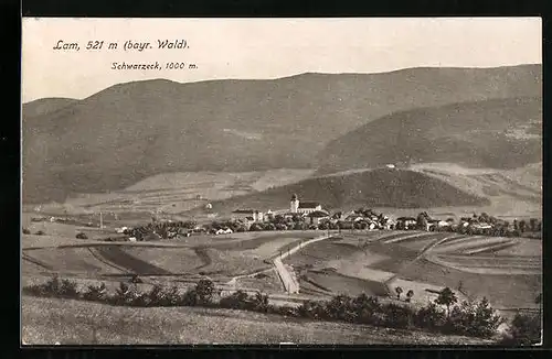 AK Lam /bayr. Wald, Ortsansicht mit Umgebung