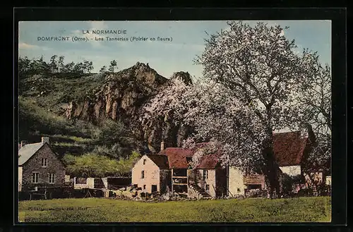 AK Domfront, La Normandie, Les Tanneries, Poirier en fleurs