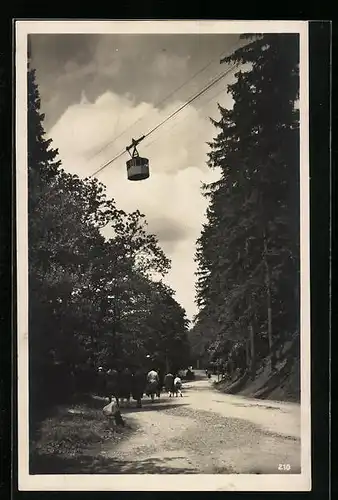 AK Bad Harzburg, Seilbahn über dem Weg zur Liegewiese