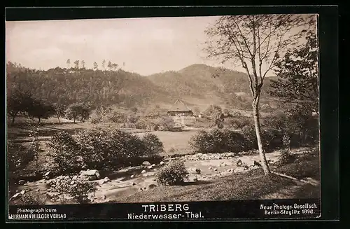 Foto-AK NPG Nr. 826: Triberg, Idylle im Niederwasser-Thal