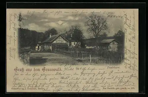 Mondschein-AK Berlin-Grunewald, Blick auf Paulsborn