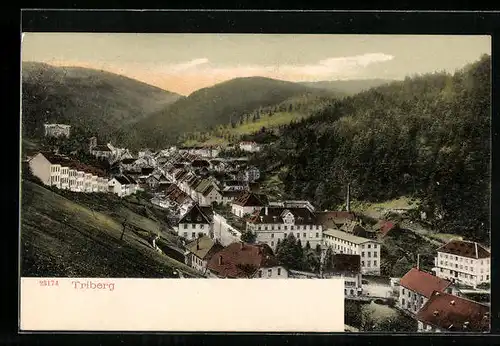 AK Triberg, Blick auf den gesamten Ort im Tal