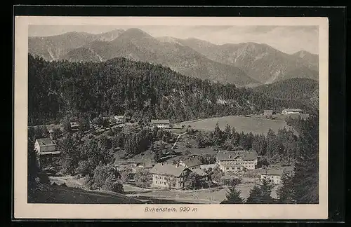 AK Birkenstein, Ortsansicht aus der Vogelschau