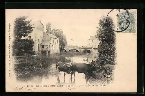 AK Le Mesle-sur-Sarthe, Le Moulin et les Ponts