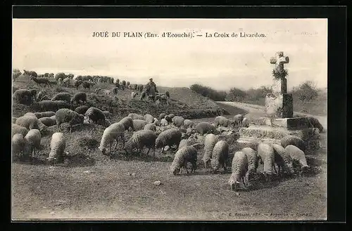 AK Joué du Plain, La Croix de Livardon