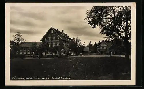 AK Zwieselberg / Schwarzwald, Gasthof Auerhahn