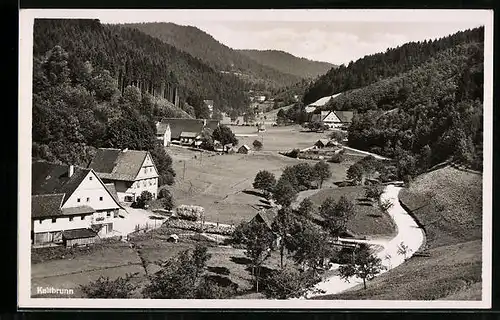 AK Kaltbrunn / Schwarzwald, Ortsansicht aus der Vogelschau