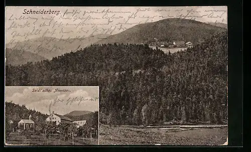 AK Schneiderberg / Lohberg, Seidl`sches Anwesen, Panorama