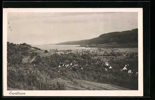 AK Espasingen, Panoramablick von der Bergwiese aus