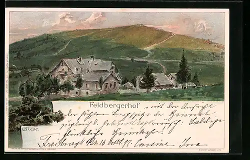 Künstler-AK Carl Biese: Feldberg, Feldbergerhof