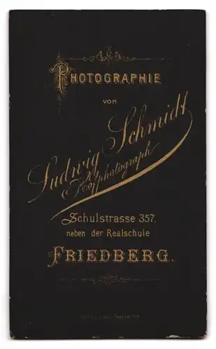 Fotografie Ludwig Schmidt, Friedberg, Schulstrasse 357, Bartloser Jüngling mit ungebändigten Haaren