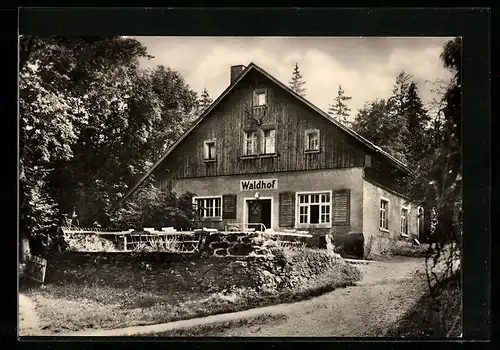 AK Gelenau i. Erzgeb., Venusberg mit Pension Waldhof