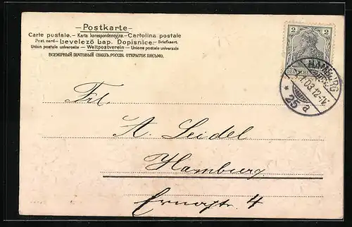 AK Jahreszahl 1903 mit Veilchen