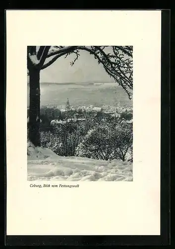 AK Coburg, Blick vom Festungswall im Winter