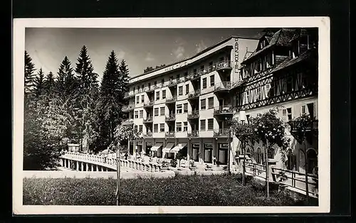 AK Jugoslavija, Letovisce Bled