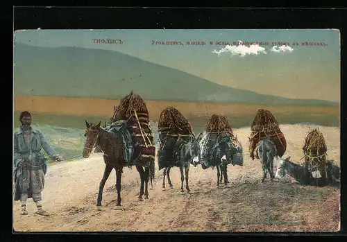 AK Tiflis, Wanderer mit Pferd und Esel in der Wüste