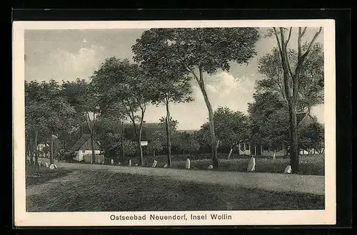 AK Neuendorf, Insel Wollin, Strassenpartie