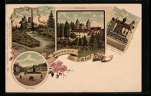 Lithographie Saint Dié, Cathedrale, Statue J. Ferry, Sapin Sec.