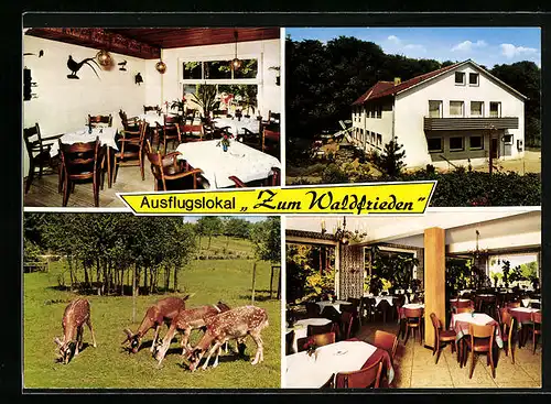AK Havixbeck, Gasthaus Zum Waldfrieden Schulz-Hülsmann, Grasende Rehe