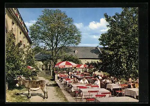 AK Gattendorf bei Hof, Schloss Gattendorf, Hotel-Pension-Restaurant-Cafe, Terrasse mit Esel