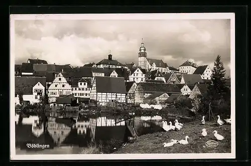 AK Böblingen, Teilansicht mit Gänsen am Weiher