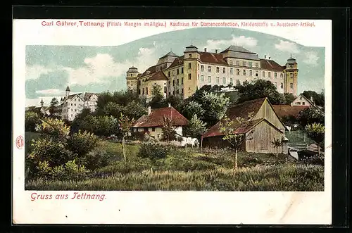 AK Tettnang, Ortspartie mit Blick zum Schloss