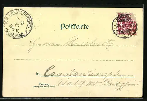 Lithographie Rinteln, Totalansicht mit Turm