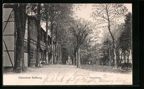 AK Haffkrug, Strasse mit Prinzenhaus