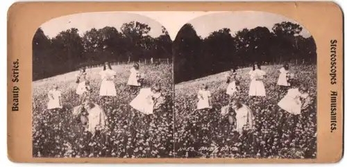 Stereo-Fotografie kleine Mädchen pflücken Gänseblümchen, Daisy Day