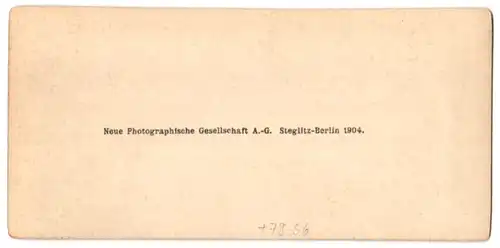 Stereo-Fotografie NPG Berlin, Berlin, Gruppe in Tracht beim Tanze, Genrebild