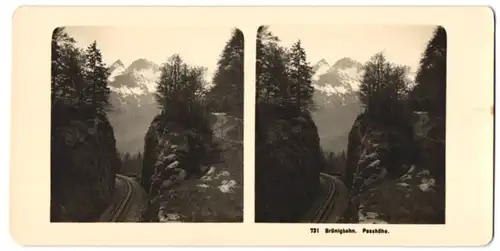 Stereo-Fotografie Blick auf die Gleise der Schamlspurbahn Brünigbahn, Passhöhe mit Blick auf die Alpen