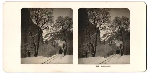 Stereo-Fotografie Wehrli A.G., Kilchberg, dampfende Brünigbahn im Schnee, Schmalspurbahn, Dampflok