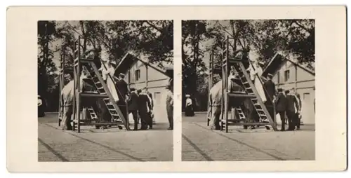 Stereo-Fotografie J. Lizars, Galsgow, Touristen besteigen einen Elefanten zum Ausritt