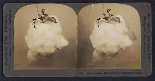 Stereo-Fotografie Keystone View Co., London, Weisse Baumwolle Samenzapfel, die Pflanzenfaser zeigend