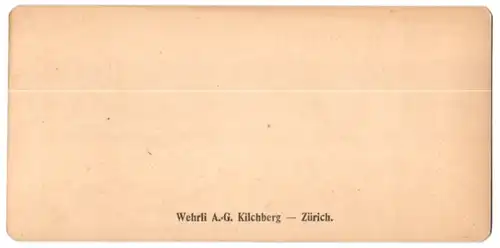 Stereo-Fotografie Wehrli A.G., Kilchberg, Ansicht Pilatus, Am Weg zum Tomlishorn