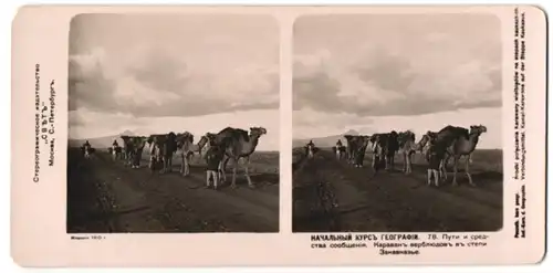 Stereo-Fotografie Photo. Atelier Licht, Moskau, Kamel Karawane als Verbindungsmittel auf der Steppe im Kaukasus