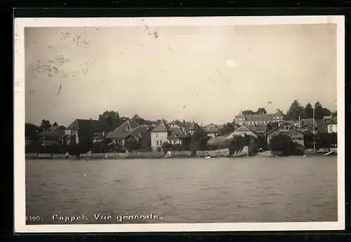 AK Coppet, Vue générale