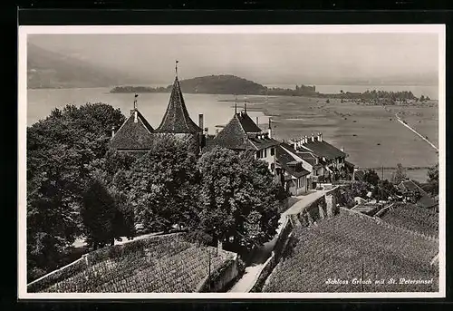 AK Erlach, Schloss Erlach mit St. Petersinsel