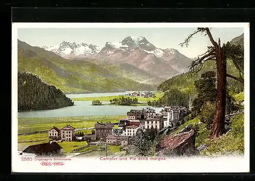 AK Campfer, Panorama und Piz della margna