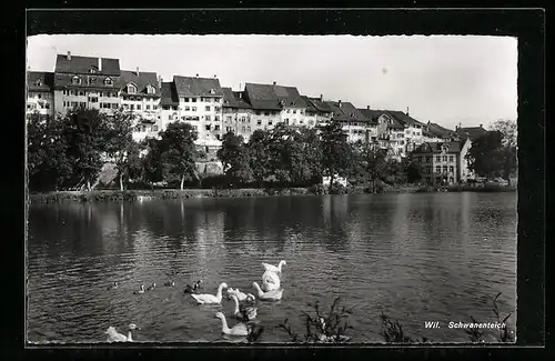AK Wil, Schwanenteich