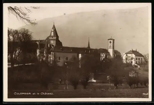 AK Colombier, Le Château