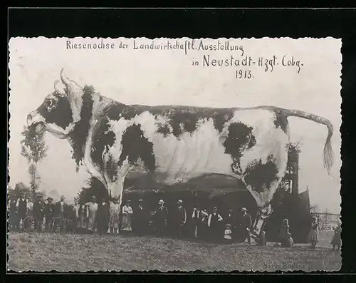 AK Neustadt / Coburg, Riesenochs der Landwirtschaftl. Ausstellung 1913