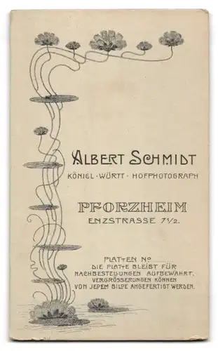 Fotografie Albert Schmidt, Pforzheim, Enzstr. 7 1 /2, Bürgerliche Dame mit Hochsteckfrisur und Kragenbrosche