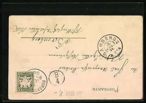 AK Neuburg a. D., Ortsansicht mit Uferpartie