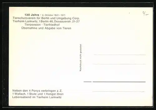 AK Berlin-Lankwitz, Tierheim, Dessauerstrasse 21-27, Lankwitzer Beatles, Pony