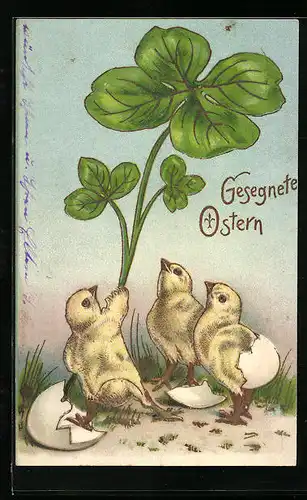 Lithographie Osterküken halten ein übergrosses Kleeblatt, Fröhliche Ostern