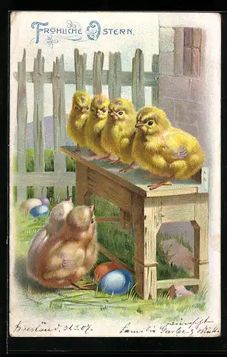 AK Osterküken stehen in einer Reihe