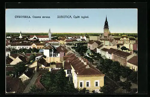 AK Subotica, Opsti izgled